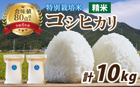 【令和7年産】南条米 特別栽培米コシヒカリ 真空パック 精米 10kg(5kg×2袋)[C-011001] 福井 もちもち