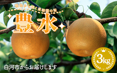 【2026年出荷分先行予約】明治から続く果樹園の梨「豊水」3kg（玉数おまかせ） なし 果物 くだもの デザート ギフト ナシ 甘い フルーツ 福島県 白河市 F24R-215
