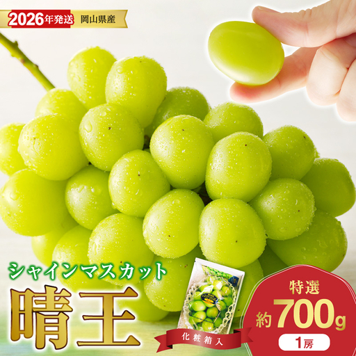 岡山県産 シャインマスカット 晴王 特選 大房 化粧箱入 1房 約700g【シャインマスカット】hz-s