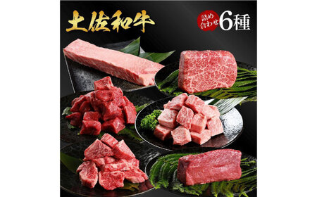 熟成肉 土佐和牛 詰め合わせ6種 [株式会社LATERAL] [ATAY079]