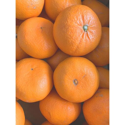 麗紅柑（れいこう）青秀品（家庭用）2S～3Lサイズ 3kg