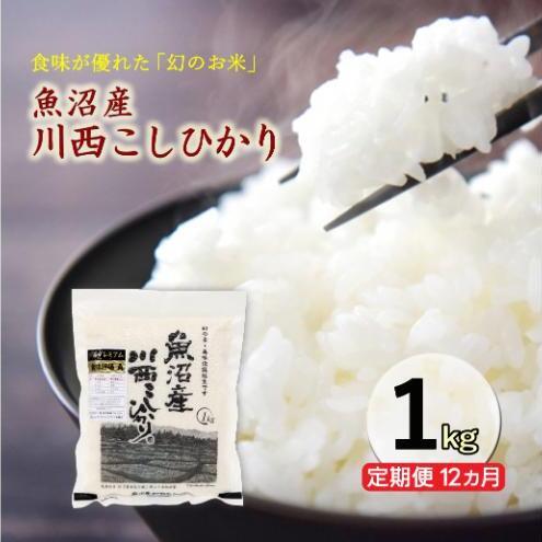 令和８年産米　先行予約【定期便／12ヶ月】魚沼産川西こしひかり1kg ＜令和8年10月下旬～発送予定＞