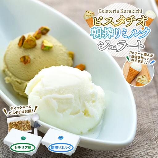 [数量限定]ジェラート食べ比べ シチリア産 ピスタチオ 朝搾りミルク(500ml×2種 )
