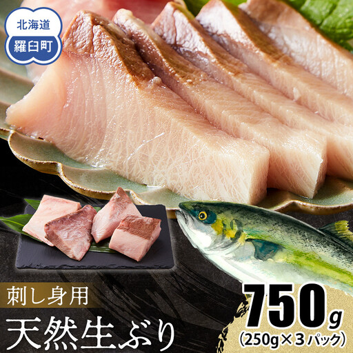【2026年12月発送】北海道 知床羅臼産 天然ぶり刺身 750g（250g ×3パック）ブリ小分け 酒の肴
