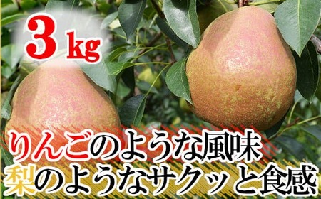 [先行予約 / 数量限定] ご家庭用 フレミッシュビューティー 3kg 西洋梨