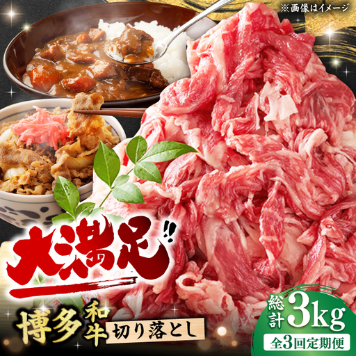 【3回定期便】切り落とし 1000g（500g×2P）[AFBO078]