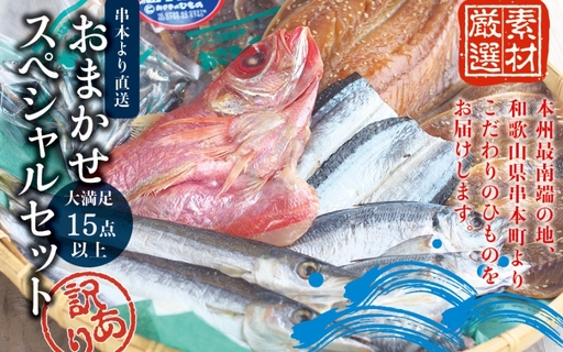 [訳あり干物セット]たっぷり15点以上!おざきのひもの「おまかせスペシャルセット」[冷凍]/ ひもの 干物 干物セット 個包装 イカ 一夜干し 訳あり わけあり[ozk103A-1]