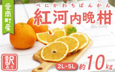 訳あり 紅 河内晩柑 大玉 （ 2L - 5L ） 10kg 7000円 みかん かわちばんかん 愛南ゴールド あいなん ゴールド 美生柑 文旦 グレープフルーツ 和製 幻 の 紅河内晩柑 紅晩柑 希少 家庭用 産地直送 国産 農家直送 糖度 果樹園 期間限定 数量限定 特産品 ゼリー ジュース 果汁 人気 限定 さわやか 甘い フルーツ 果物 柑橘 蜜柑 規格外 愛媛県 愛南町 あいなんマザーズ みかん 河内晩柑 愛南ゴールド みかん 河内晩柑 愛南ゴールド  みかん 河内晩柑 愛南ゴールド  みかん 河内晩柑 愛南ゴールド  みかん 河内晩柑 愛南ゴールド  みかん 河内晩柑 愛南ゴールド  みかん 河内晩柑 愛南ゴールド  みかん 河内晩柑 愛南ゴールド  みかん 河内晩柑 愛南ゴールド  みかん 河内晩柑 愛南ゴールド  みかん 河内晩柑 愛南ゴールド  みかん 河内晩柑 