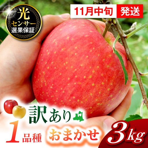 【2026年11月中旬発送】【訳あり】りんご 約3kg  1品種おまかせ 青森産 りんご