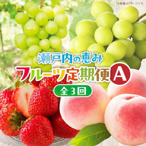 【3回お届け】高松市自慢のフルーツ定期便【A】| フルーツ