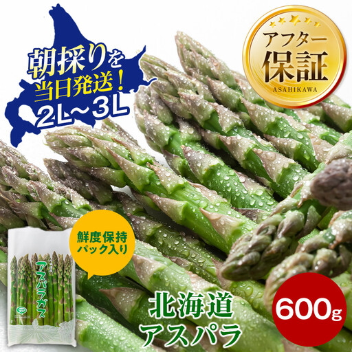 【2027年先行予約】露地物朝採りアスパラ　鮮度保持フィルム入り　2～3L　600g（5月中旬発送開始予定）| アスパラ 北海道 _03816