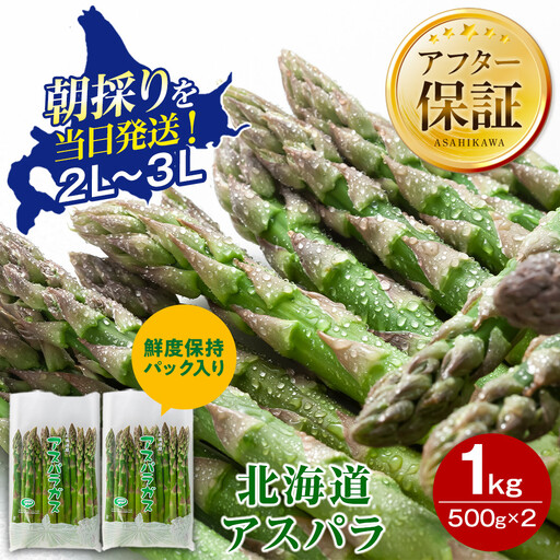 【2027年先行予約】露地物朝採りアスパラ　鮮度保持フィルム入り　2～3L　500g×2　合計1kg（5月中旬発送開始予定）| アスパラ 北海道 _03817