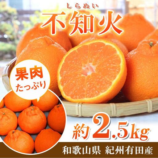 紀州有田産不知火(しらぬひ) 約２.５kg［2027年2月中旬以降発送］［先行予約］［UT61］