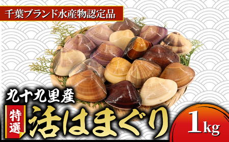 活 はまぐり 九十九里産 約1kg [ はまぐり ]