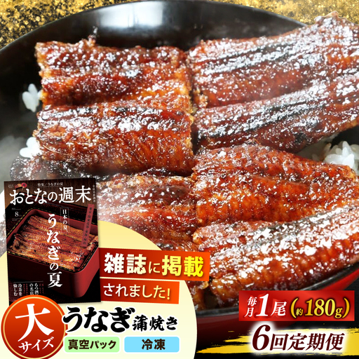 【うなぎや】 【6回定期便】 炭火焼 うなぎの蒲焼き 1尾 【紀州備長炭使用】 鰻 ウナギ 丑の日 多治見市 [TFO005]