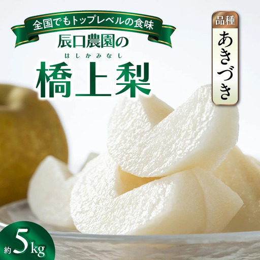 【先行予約】令和8年発送 / 辰口農園の橋上梨約5kg（品種:あきづき）_2431R