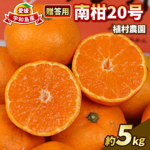 贈答用 南柑20号 5kg 植村農園 先行予約 温州 温州みかん みかん 果物 くだもの フルーツ 柑橘 蜜柑 贈答 ギフト プレゼント 農家直送 産地直送 数量限定 国産 愛媛 宇和島 B010-153009