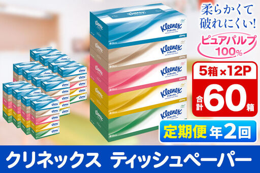 《6ヶ月ごとに2回お届け》定期便 ティッシュ クリネックス ティシュー 5箱×12パック
