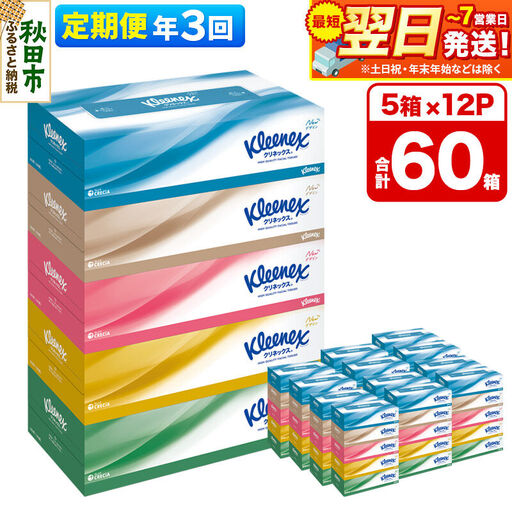 《4ヶ月ごとに3回お届け》定期便 ティッシュ クリネックス ティシュー 5箱×12パック 最短翌日発送