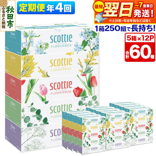 《3ヶ月ごとに4回お届け》定期便 ティッシュペーパー スコッティ フラワーボックス250組 60箱(5箱×12パック) ティッシュ 最短翌日発送