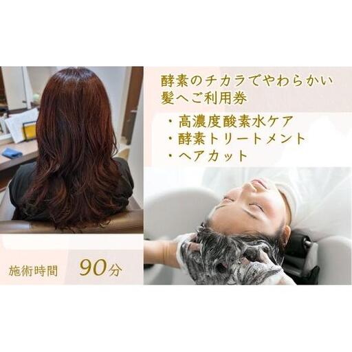 「酵素のチカラでやわらかい髪へ」ご利用券 酵素トリートメント ヘアカット 高濃度酸素水ケア 所要時間90分 髪質改善 ヘアケア 髪の柔軟剤 ヘアスタイル トリートメント 美容室 髪質 素髪 剛毛 ダメージヘア