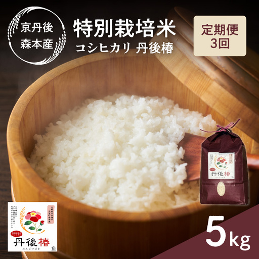 令和8年産 特別栽培米コシヒカリ 丹後椿（京丹後森本産） 5kg【定期便3回】