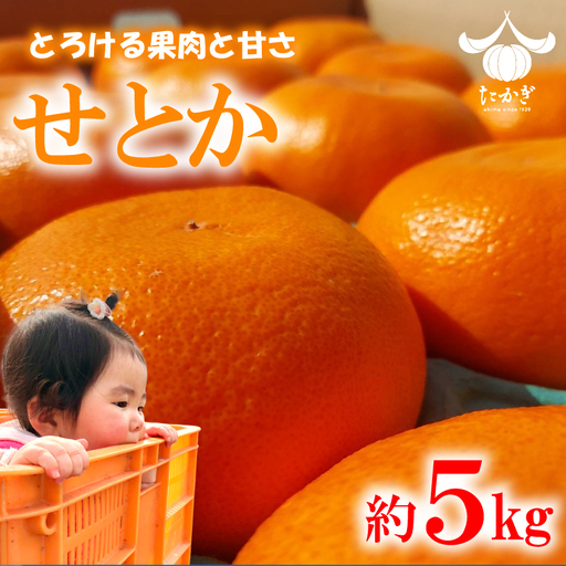 【愛媛県産】 せとか 約5kg  訳あり せとか【TKG0121】