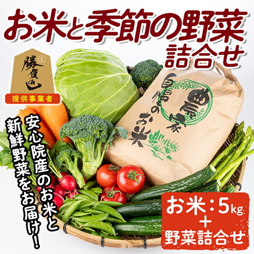 産地直送！宇佐のお米と季節の野菜詰合せ(お米5kg＋野菜詰め合わせ)米 お米 野菜 季節の野菜 詰合せ 安心院産 大分県産 勝負めし 【103700102】【小の岩の庄】