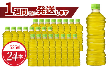 綾鷹 525ml PET ラベルレス(24本入) お茶 休憩 ラベルレス 環境にやさしい 茶葉 うまみ 宇治 緑茶 おいしい まとめ買い 箱買い コカ・コーラ