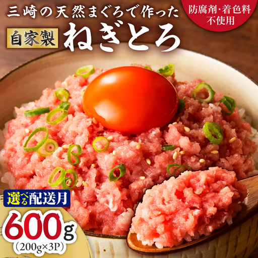 ＜選べる配送月＞【 防腐剤 ・ 着色料 不使用 】 三崎 の 天然まぐろ で作った 自家製とろみ （ ねぎとろ 用 ） 200g × 3P （ 約 6人前 ） M005-006 冷凍 マグロ