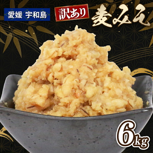 味噌 訳あり 麦味噌 6kg 宮居醤油店 味噌 J010-122004