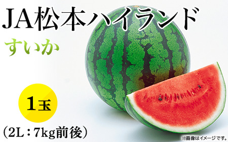 1811[2L]JA松本ハイランドすいか1玉 (約7kg)[2026年7月中旬〜8月上旬発送]