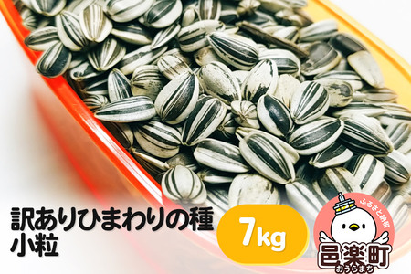 [訳あり]ひまわりの種・小粒 7kg×1箱 ※箱詰め※ サイトウ・コーポレーション 飼料
