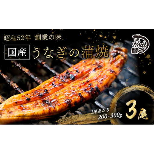 昭和52年創業の味 手焼き 国産 うなぎ 蒲焼き 3尾 1尾あたり 200～300g 国産 鰻 美味しい 職人仕上げ ふっくら肉厚 タレ付き 冷凍発送 ギフト 贈答用 お取り寄せ グルメ ご飯のお供 九州 福岡 老舗の味