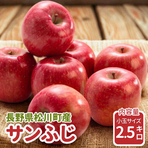 りんご サンふじ(小玉)約2.5kg / 2026年11月下旬〜12月上旬ごろ配送予定[JA34]//長野県 南信州 贈答 ギフト お歳暮 ふじ フジ さんふじ 新鮮 林檎 リンゴ サンフジ