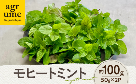 水耕栽培 モヒートミント 約50g×2袋 長与町/アグリューム[EAI126]  ミント みんと ハーブ はーぶ ハーブティー