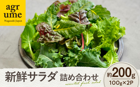 水耕栽培 新鮮サラダ野菜の詰め合わせセット 約100g×2袋 長与町/アグリューム[EAI128]  新鮮 野菜 サラダ さらだ セット 詰め合わせ