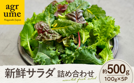 水耕栽培 新鮮サラダ野菜の詰め合わせセット 約100g×5袋 長与町/アグリューム[EAI136]  新鮮 野菜 サラダ さらだ セット 詰め合わせ