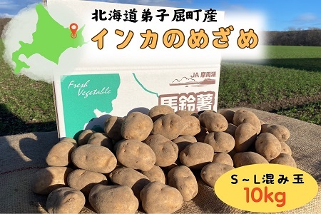 ◆先行予約◆インカのめざめ（10kg）ジャガイモ　産地直送 10月中旬より出荷予定 3037