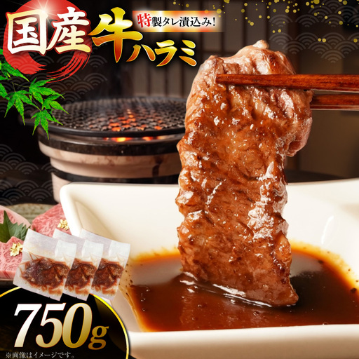 ハラミ 牛肉 焼肉 国産 特製 たれ漬 サガリ 750g ハラミ