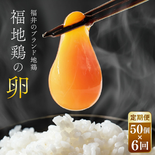 【6ヶ月連続お届け】 福井ブランド 「福地鶏」 の卵 50個 濃厚で甘くておいしい！ （25個入×2段） 定期便 ／ 卵 たまご 鶏卵 生卵 有精卵 高級 高級卵 福地鶏 鶏 平飼い 美味しい こだわり 6ヶ月 定期便 卵かけご飯 料理 あわら市 福井県産 [aw036-h002]