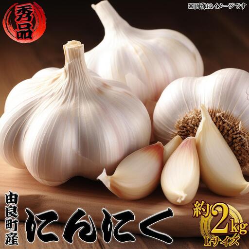 ［先行予約］由良町産にんにく 秀品  Ｌサイズ  約2kg(1kg×2)【SL19】