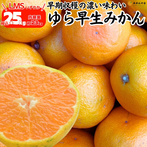 ゆら早生 みかん 箱込2.5kg (内容量2.3kg) SMLサイズのいずれか 秀品 優品 混合 有田みかん 和歌山県産 [みかんの会][2026年10月下旬頃より順次発送予定]