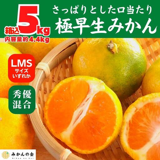 みかん 極早生 箱込 5kg (内容量約 4.4kg)  S/M/Lサイズのいずれか 秀品 優品 混合 有田みかん 和歌山県産 【みかんの会】［2026年10月上旬頃より順次発送予定］