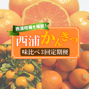 【 柑橘 定期便 】 訳あり 3回 定期便 由良 みかん 2.5kg 寿太郎 みかん 2.5kg ブラッドオレンジ 2kg
