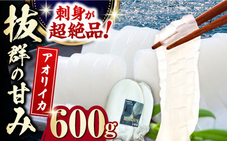 対馬産 アオリイカ 600g 海鮮 魚介 いか イカ 刺身 人気 おいしい おすすめ  [WAA028]