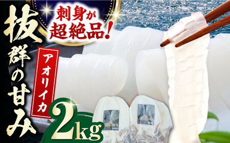 対馬産 アオリイカ 2kg烏賊 いか 刺身 冷凍  [WAA030]