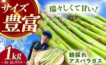 [3月中旬以降順次発送]朝採れアスパラガス1kg [WCT001] アスパラガス アスパラ 野菜 アスパラガス アスパラ アスパラガス