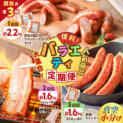 【 訳あり 】 【 全3回 偶数月 】 バラエティ 定期便 K161-T04 肉 豚肉 冷凍