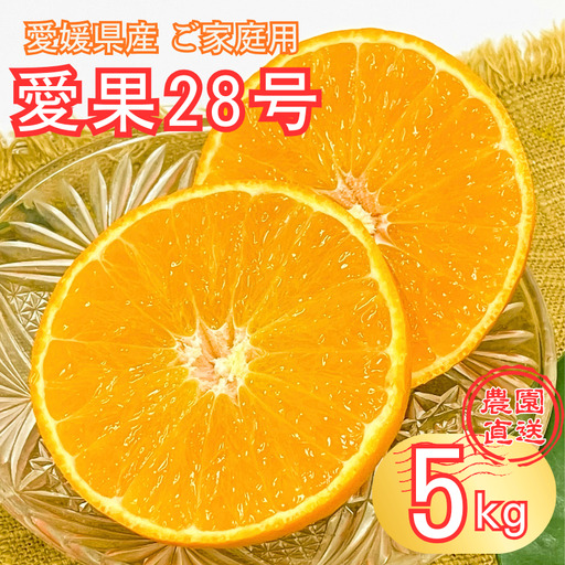 【2026年12月より順次発送】愛果28号 約5kg バラ詰め ご家庭用｜B274